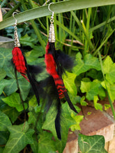 Black and red long feather earrings