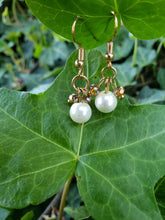Champagne crystal and pearl earrings